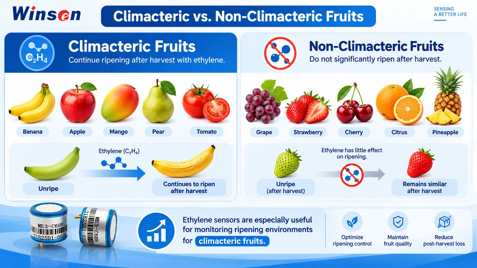 Climacteric vs non-climacteric fruits and ethylene responses