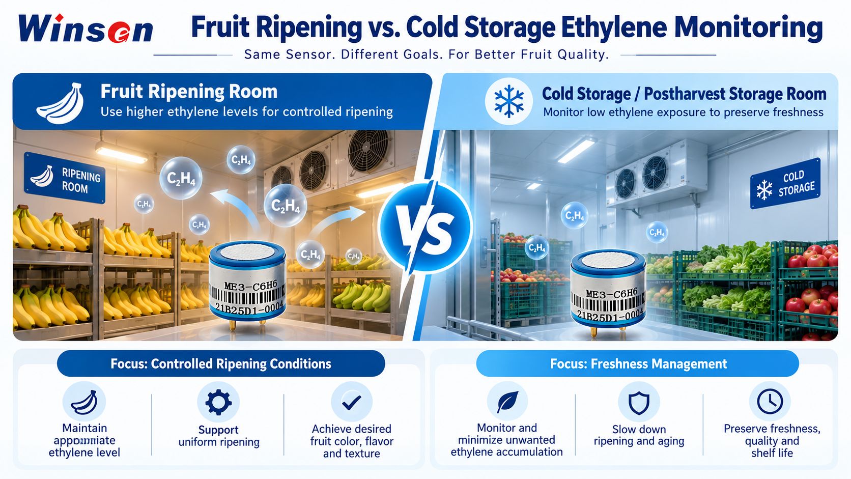 Comparison of ethylene monitoring requirements in fruit ripening and cold storage