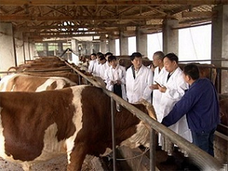 livestock husbandry industry solution